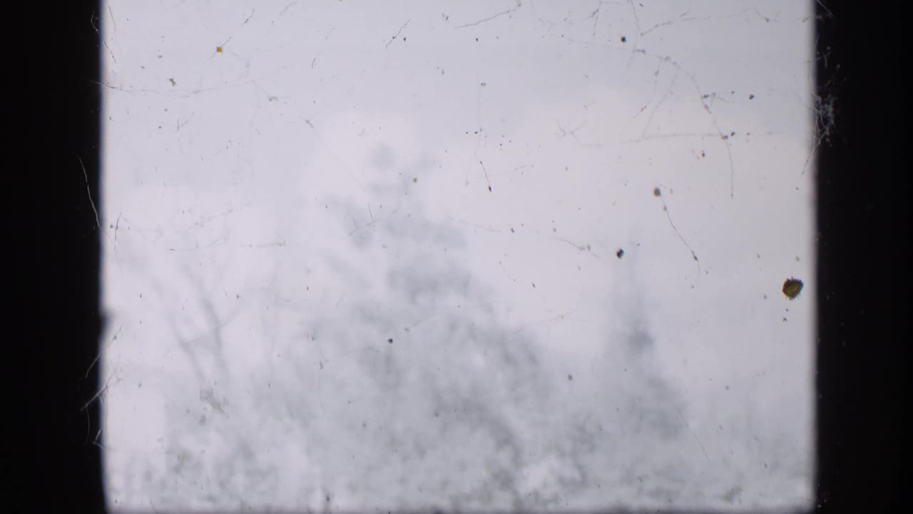 Pale 8mm frame with visible scratches, dust, and faint out-of-focus forms during a damaged or exposed section of the clip.