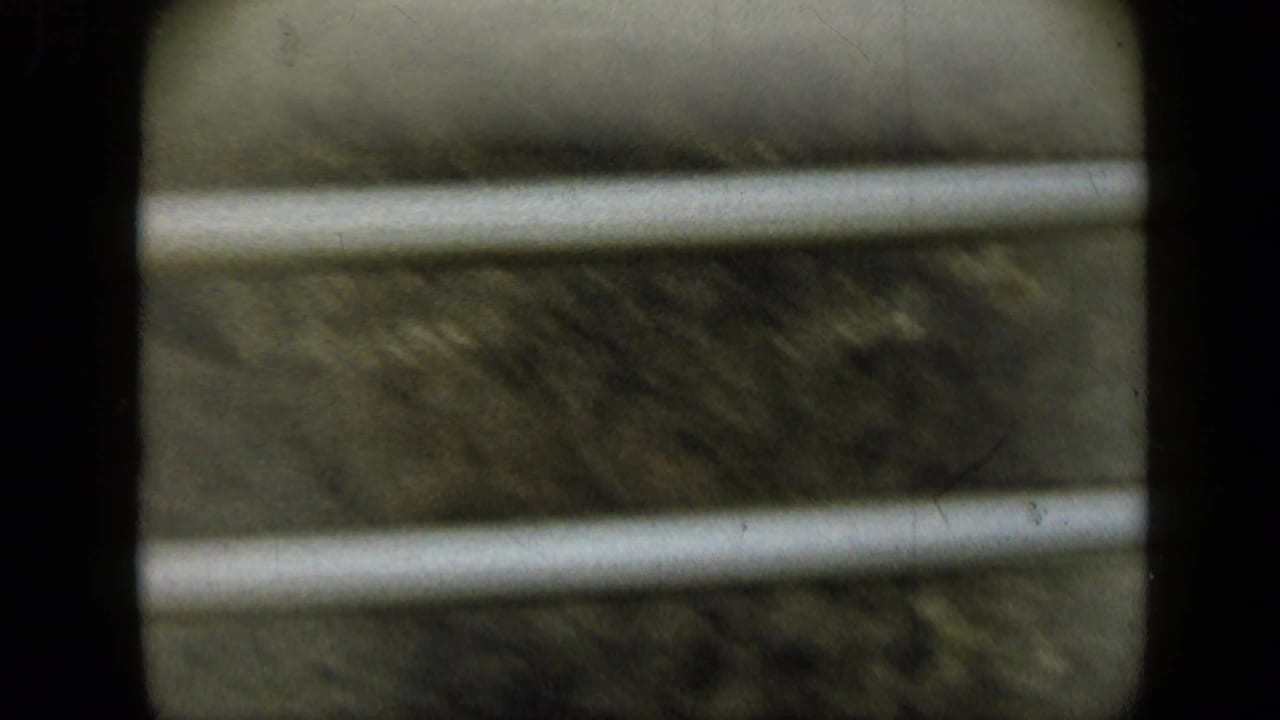 Close view of horizontal roadside rails and blurred terrain.