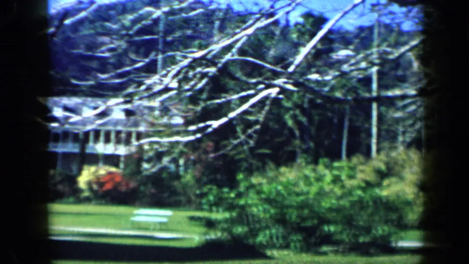1959 Venezuela estate grounds with flowering shrubs, a trimmed lawn, bare branches, and the mansion behind garden planting.