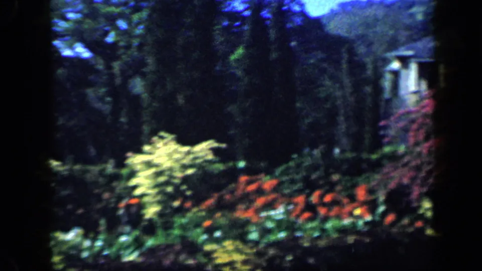 1959 Venezuela estate garden with bright flowering beds, mature trees, and part of the mansion visible at the right edge.