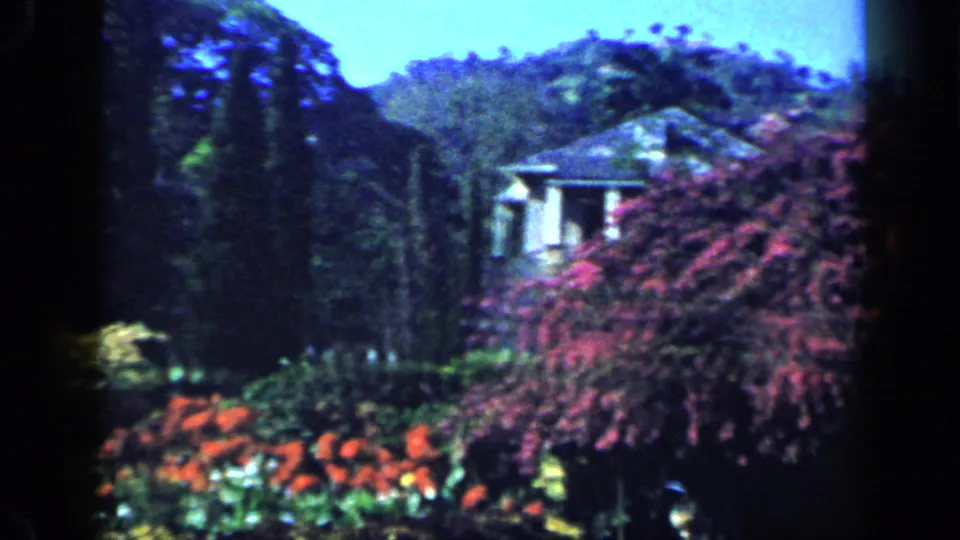 1959 Venezuela home-movie frame of a colorful garden with purple and orange flowers and a low building beyond the foliage.