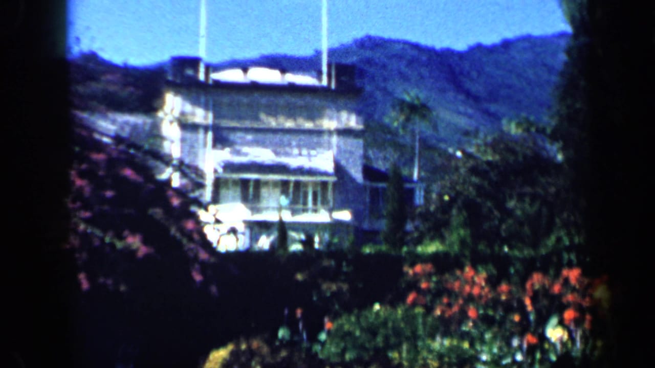 White hillside house seen beyond garden plants and palms.