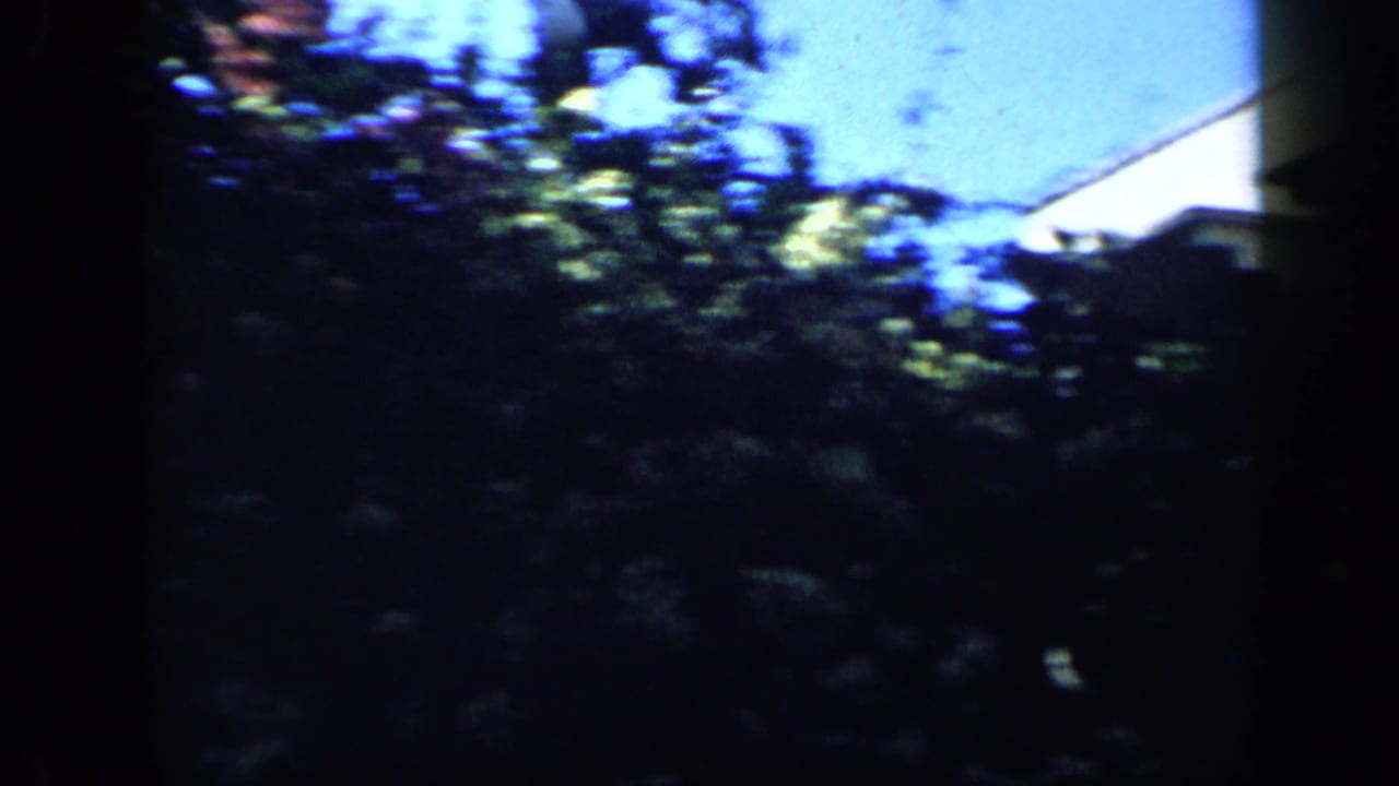 Shaded garden foliage and bright leaves appear as the handheld camera passes through vegetation in Venezuela.