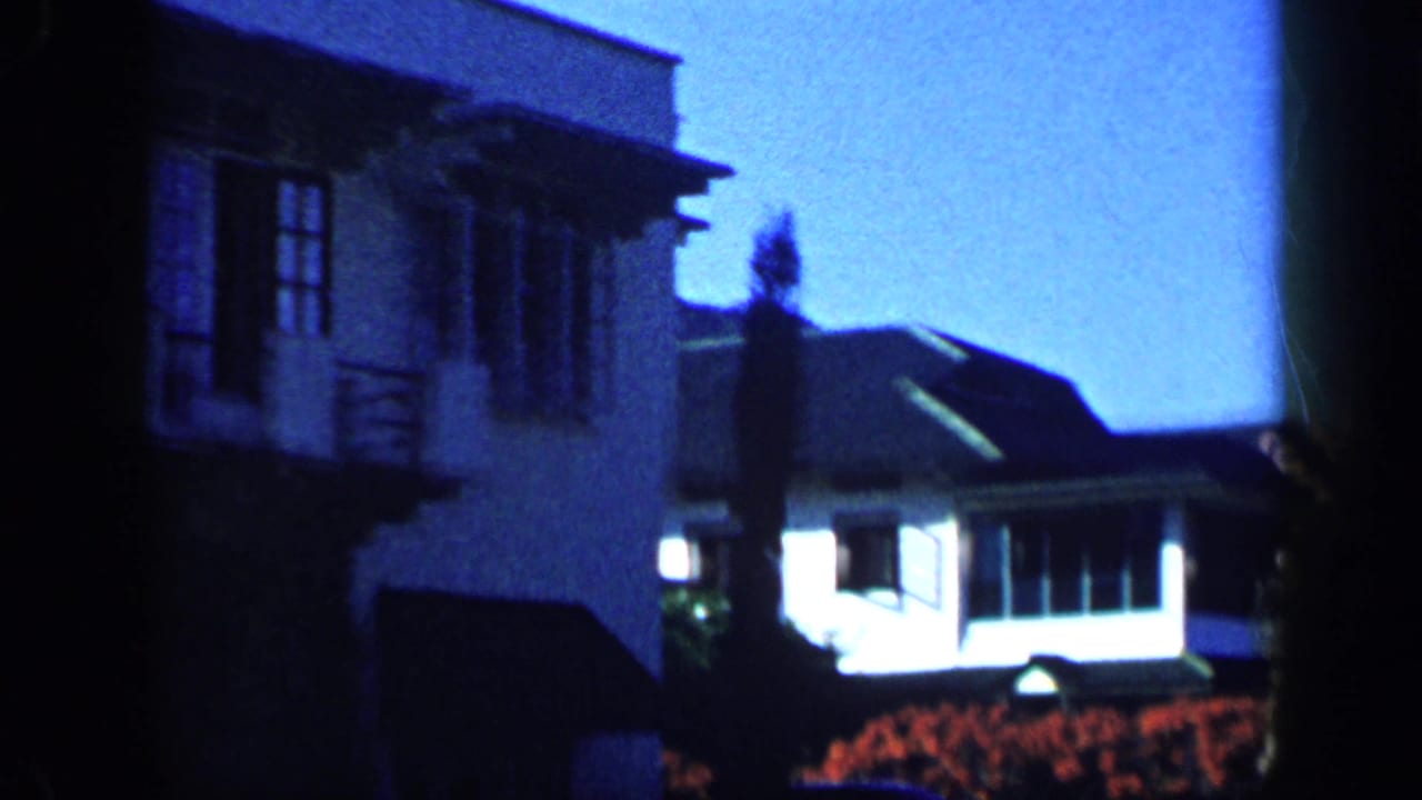 House fronts and red flowering shrubs seen across a residential garden.