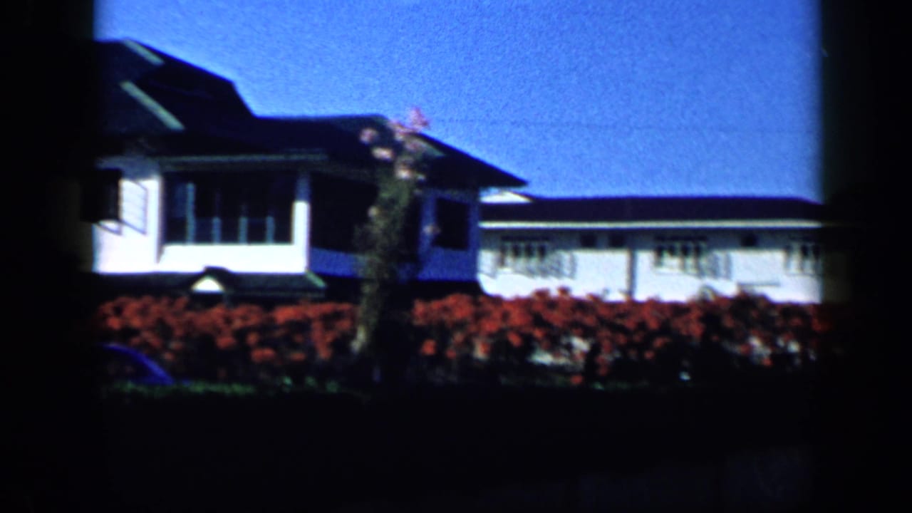 Daylight 1959 Venezuela 8mm view of a residential garden, red flowers, and neighboring white house facades.