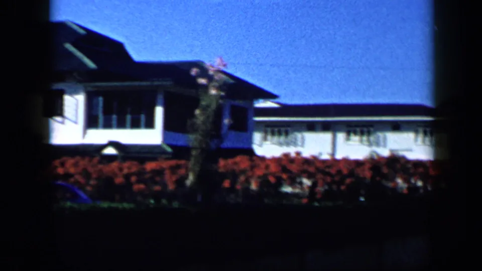 Daylight 1959 Venezuela 8mm view of a residential garden, red flowers, and neighboring white house facades.