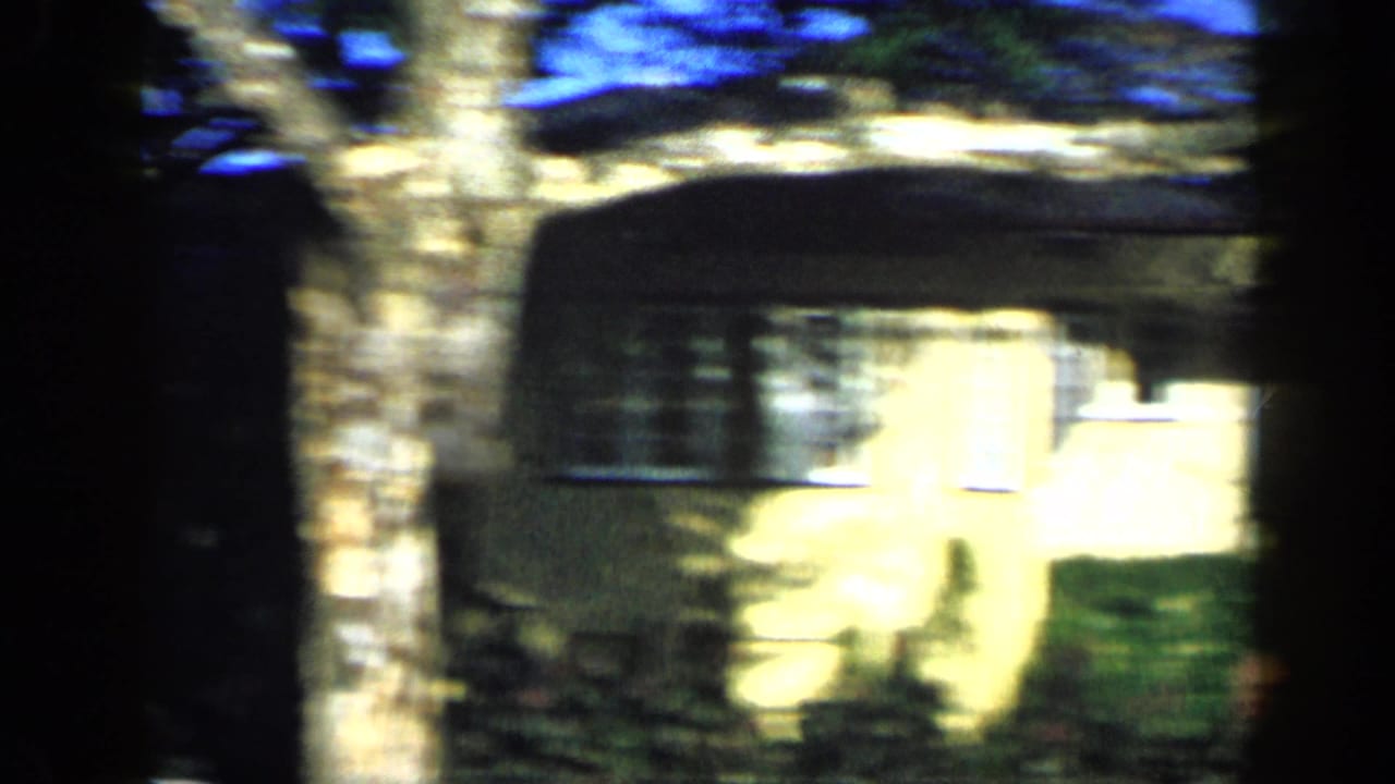 1959 Venezuela 8mm frame showing a yellow residential exterior partly obscured by tree trunks, foliage, and dappled shadow.