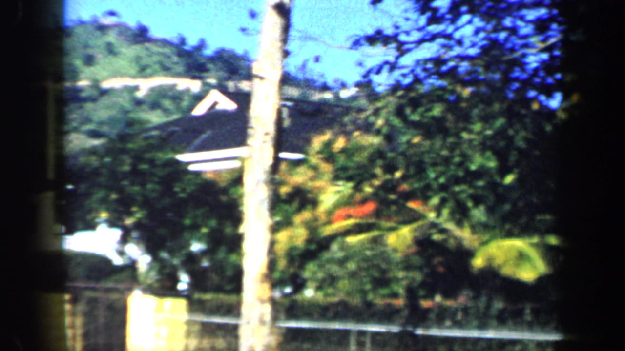 1959 Venezuela home-movie frame with a tree trunk, lush garden plants, a distant hillside, and part of a house roofline.