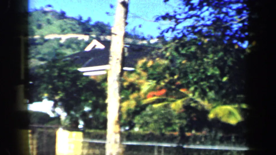 1959 Venezuela home-movie frame with a tree trunk, lush garden plants, a distant hillside, and part of a house roofline.