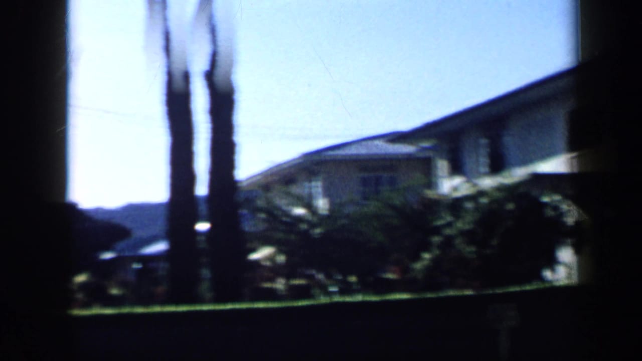Residential building and lawn with tall narrow tree trunks and dark foreground framing.