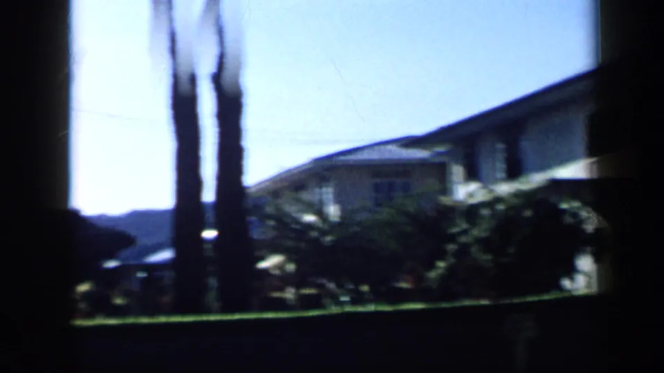 1959 Venezuela exterior view with a residential building, lawn, shrubs, tall slender trunks, and bright sky seen from a shaded position.