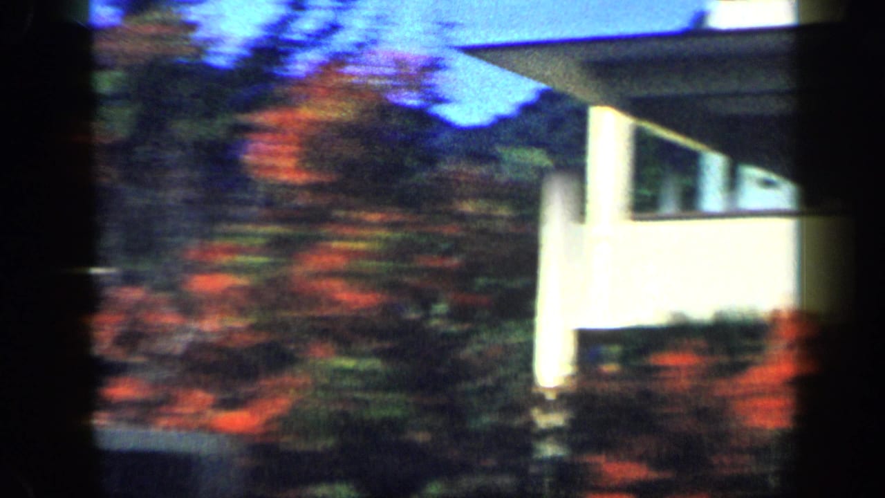 White house wall, roof edge, and red flowering shrubs blurred by motion.
