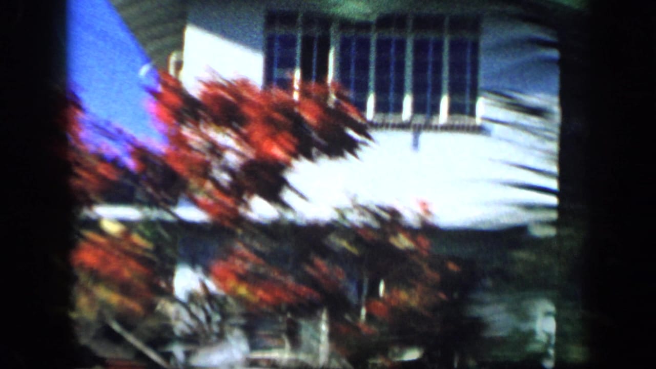 1959 Venezuela 8mm frame showing a two-story house facade behind red flowering plants from a moving vehicle.