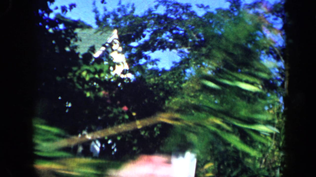 1959 Venezuela home-movie frame showing dense tropical greenery, palm fronds, blue sky, and a partial residential roofline.