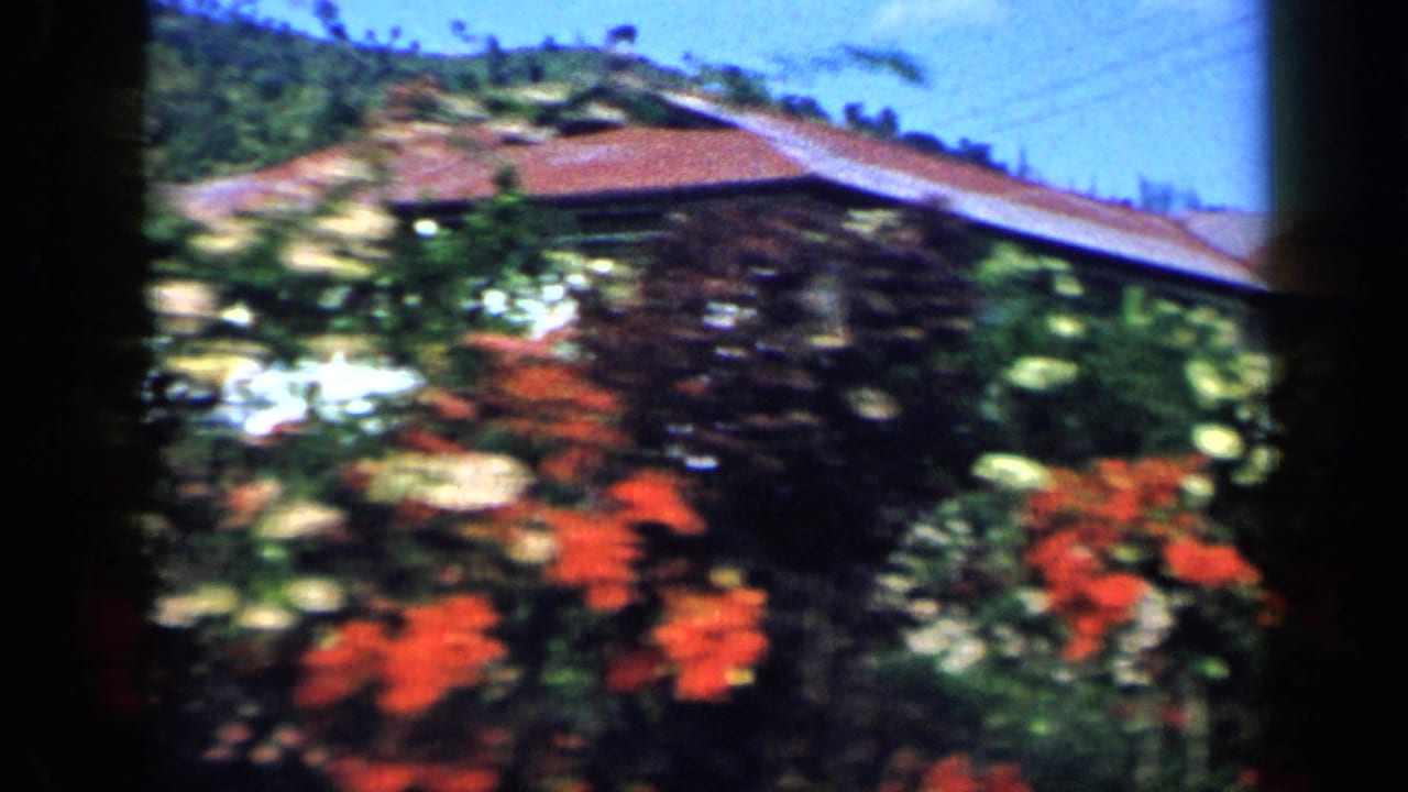 Flowering garden with a house roofline and hillside beyond.
