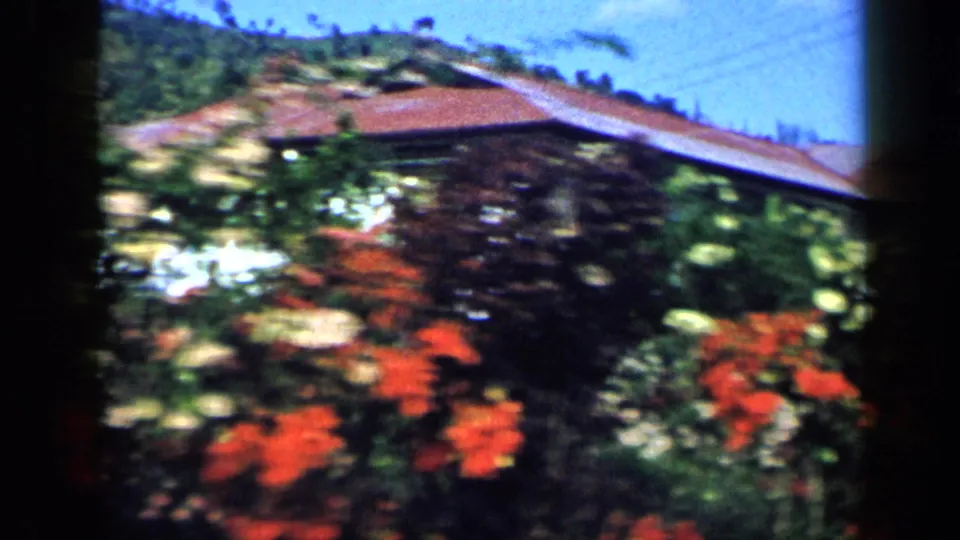 1959 Venezuela home-movie frame showing red and white flowers, dense foliage, a house roofline, and a green hillside.