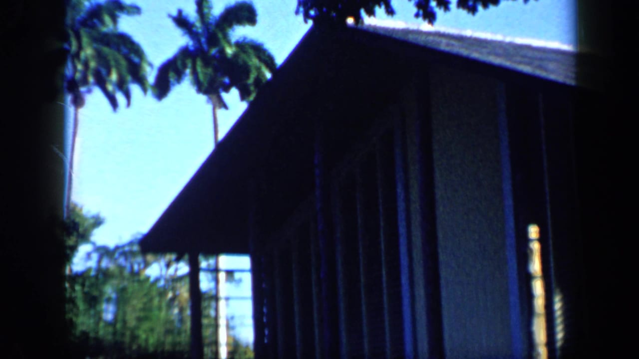 1959 Venezuela exterior view of a dark-roofed residence framed by palm trees, garden foliage, and bright tropical light.