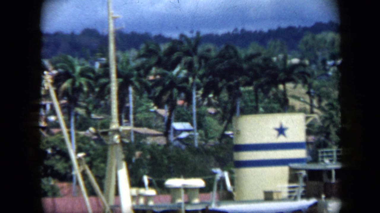 Palm-lined waterfront with a yellow structure marked by a blue star and stripes.