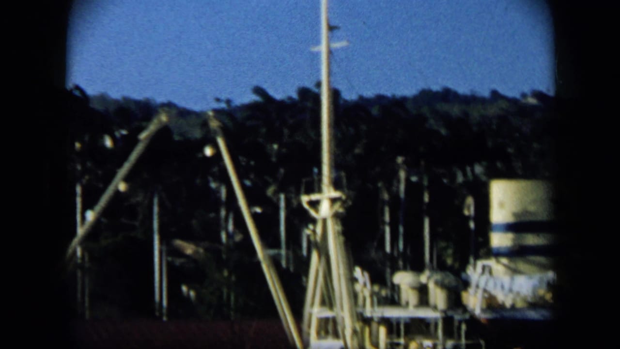 1959 Venezuela 8mm view of foreground utility poles, rooftop equipment, vegetation, and a dark hillside under clear blue sky.