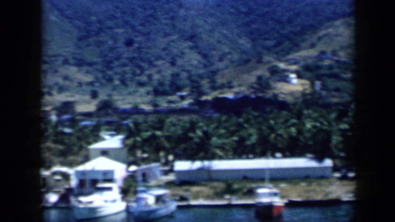 A Venezuelan harbor area with moored boats, palms, low waterfront buildings, and a green hillside in the background.