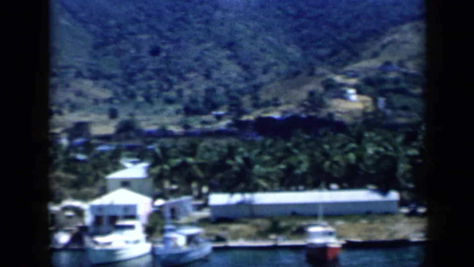 A Venezuelan harbor area with moored boats, palms, low waterfront buildings, and a green hillside in the background.
