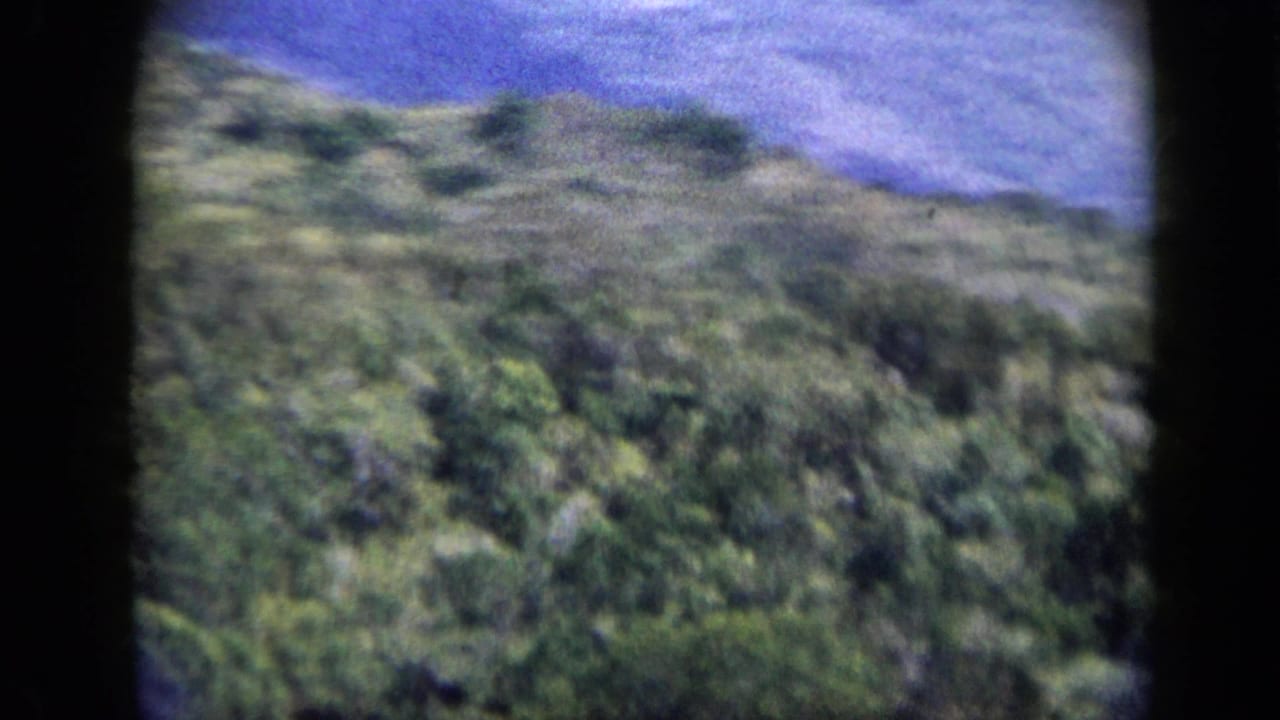 Soft green hillside vegetation with blue-toned distant slopes and dark frame edges.