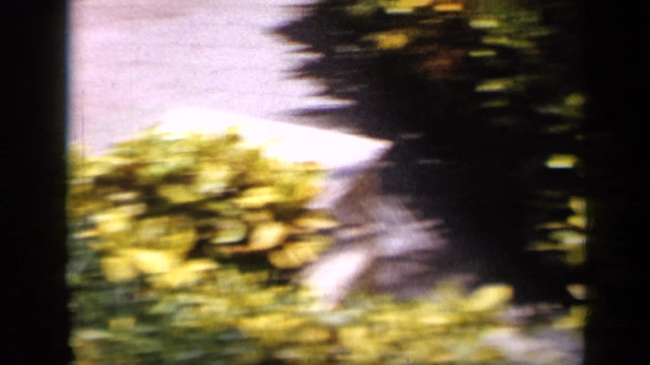 A handheld 1959 Venezuela view blurs past sunlit greenery and a pale exterior surface.
