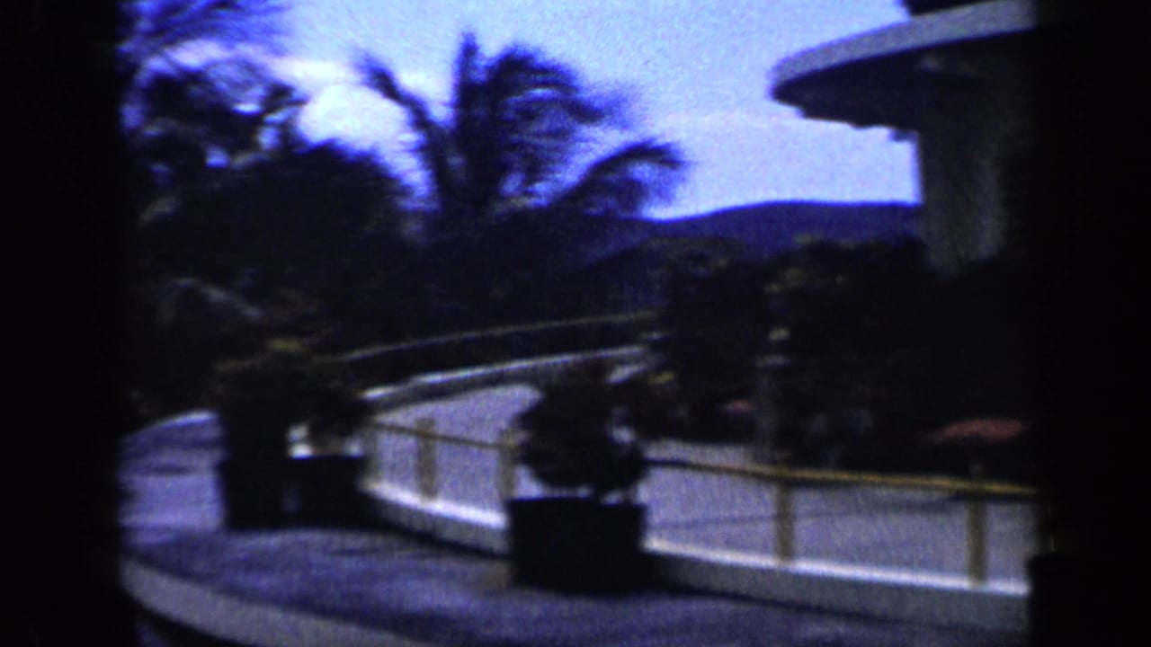 Curved terrace walkway with palm trees and railings near the sea.