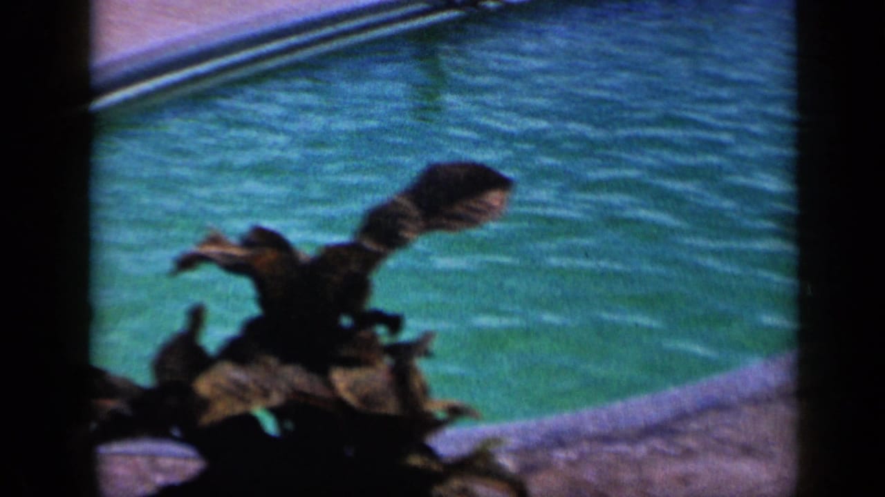1959 Venezuela resort pool view with turquoise water, curved pool edge and a bird-shaped decorative feature in the foreground.