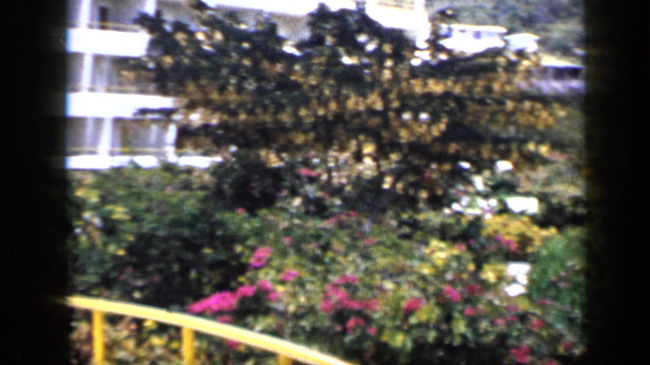 Flowering tropical garden and partial view of a white multi-story hotel building in 1959 Venezuela home-movie footage.