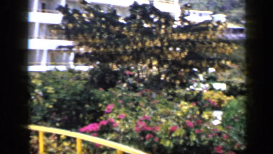 Flowering tropical garden and partial view of a white multi-story hotel building in 1959 Venezuela home-movie footage.