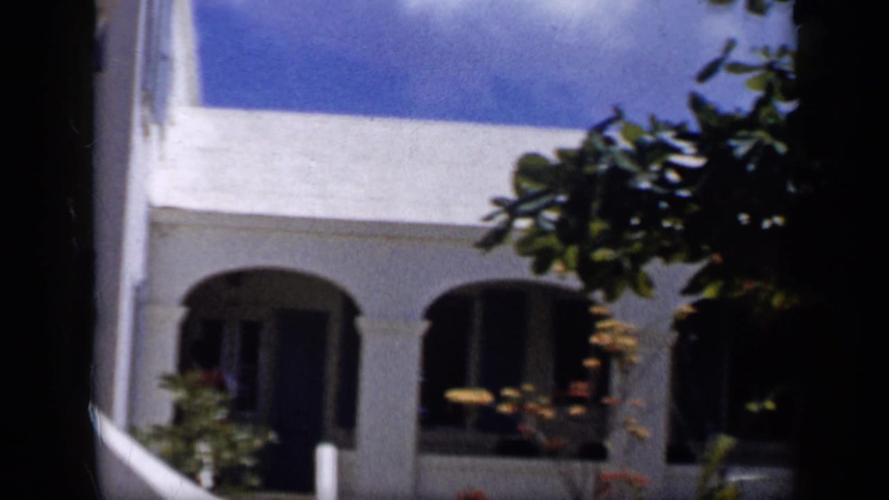 White arched building partly obscured by orange tree branches and deep shade.