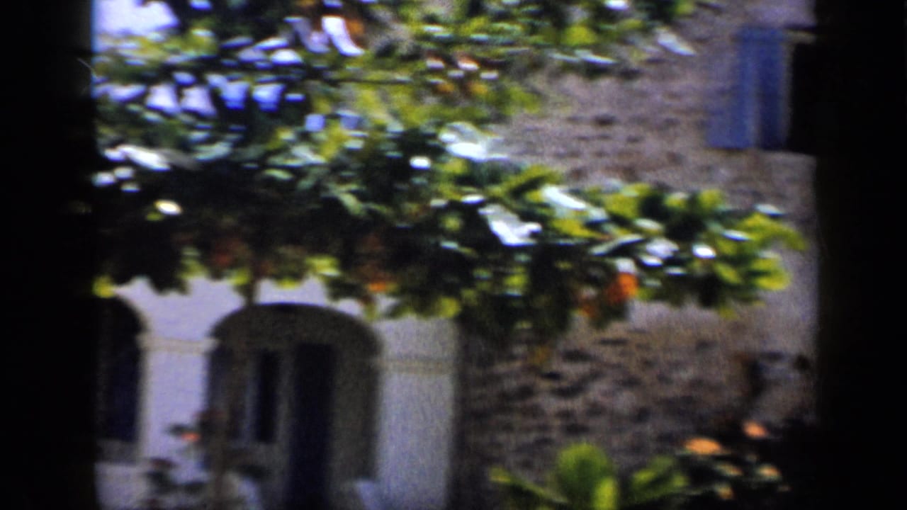 1959 Venezuela 8mm frame showing a stone tower-like wall with blue shutters, leafy branches, and bright sky at the edge.