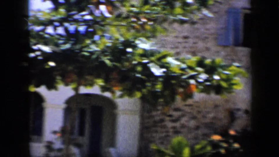 1959 Venezuela 8mm frame showing a stone tower-like wall with blue shutters, leafy branches, and bright sky at the edge.