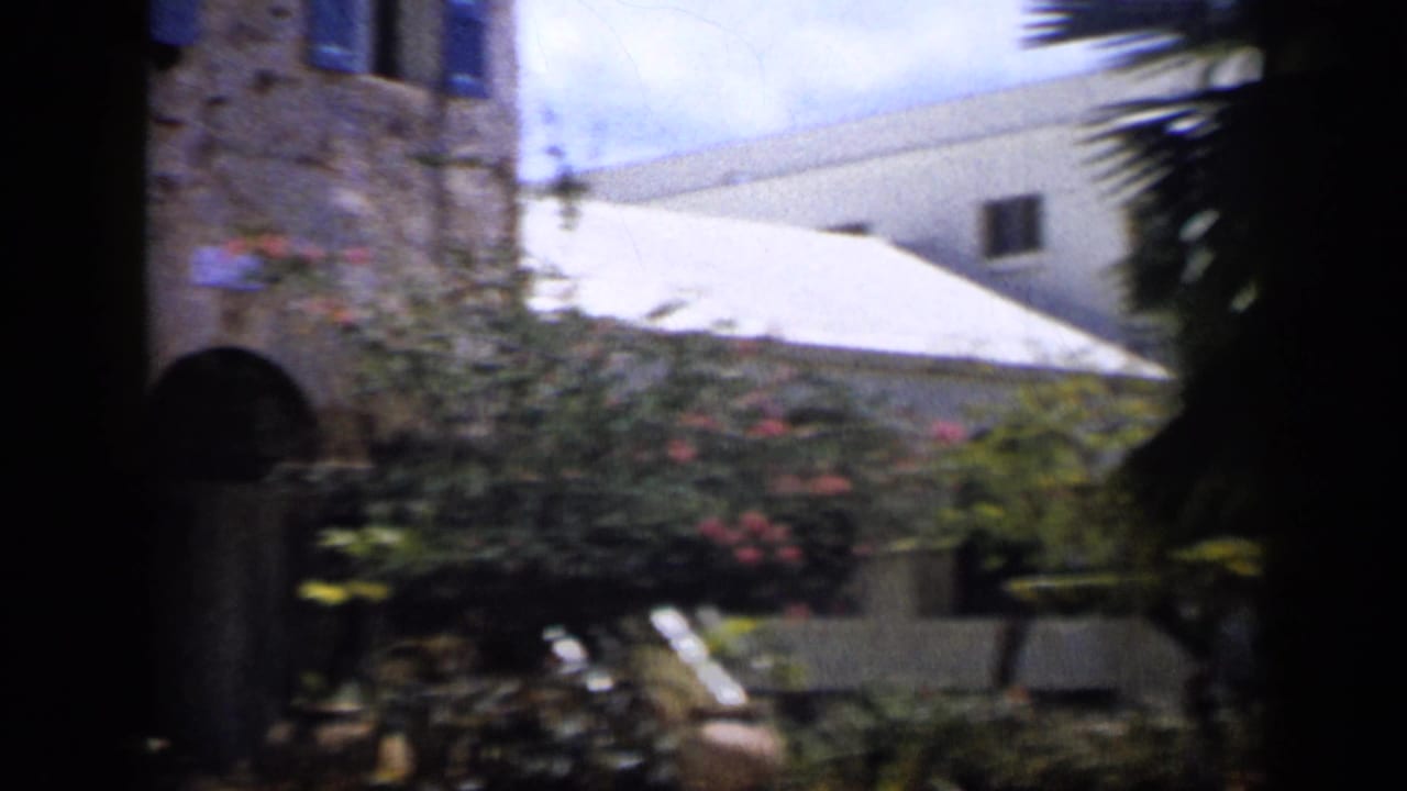 Stone garden building with blue shutters, flowering shrubs, and palm trunks in shadow.