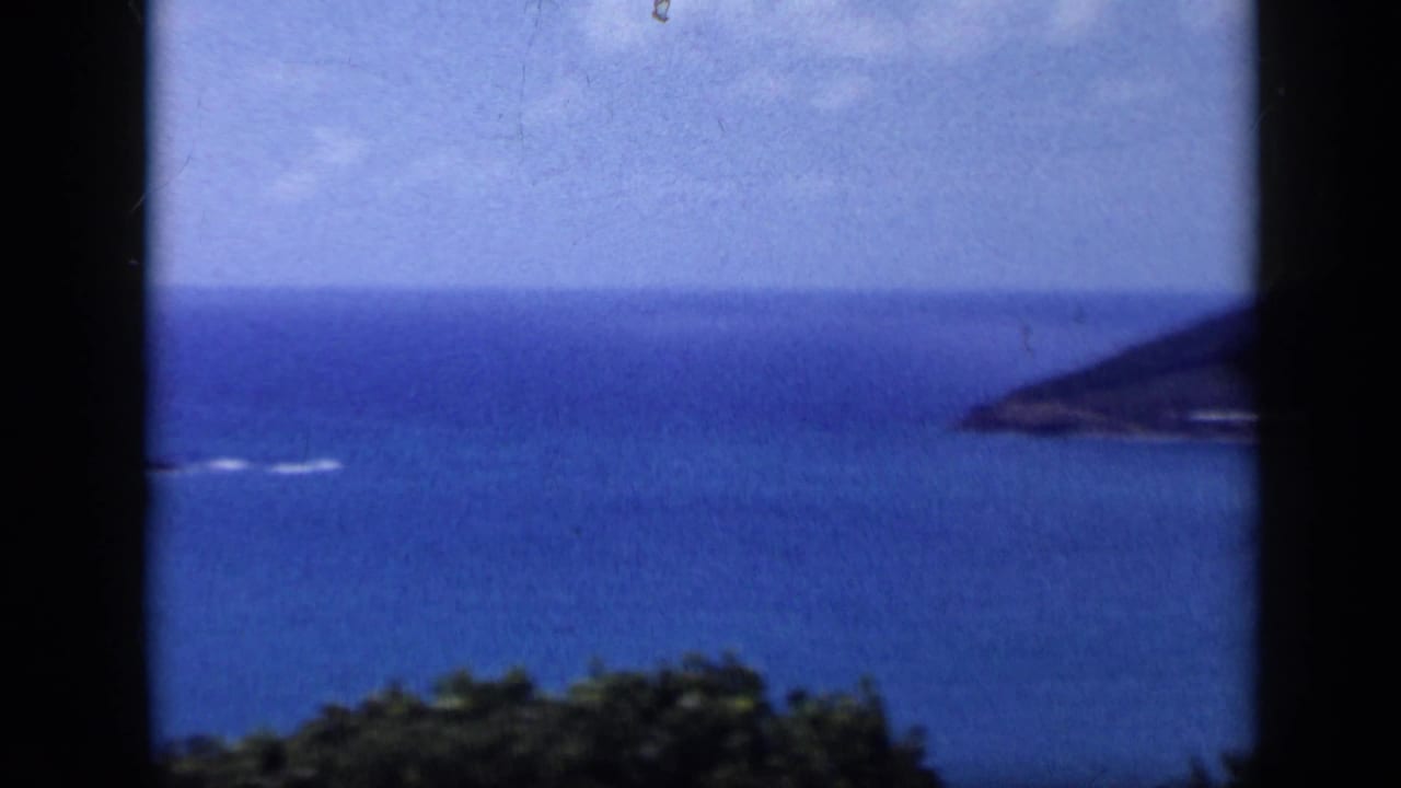 Venezuela coastal overlook frame from 1959 showing open water, a dark hillside point, and foreground vegetation.