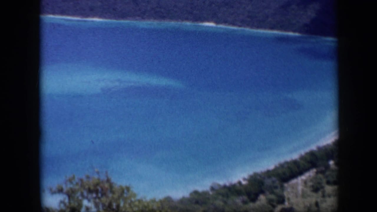 1959 Venezuela home-movie view of a curving tropical bay with layered blue water, wooded shoreline, and plants in the foreground.