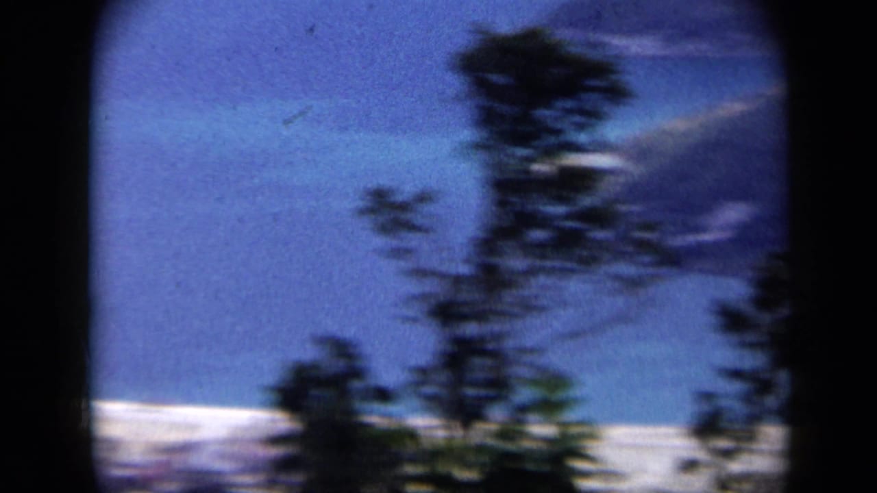 1959 Venezuela home-movie frame with motion-blurred trees crossing an aerial coastal view of water and beach.