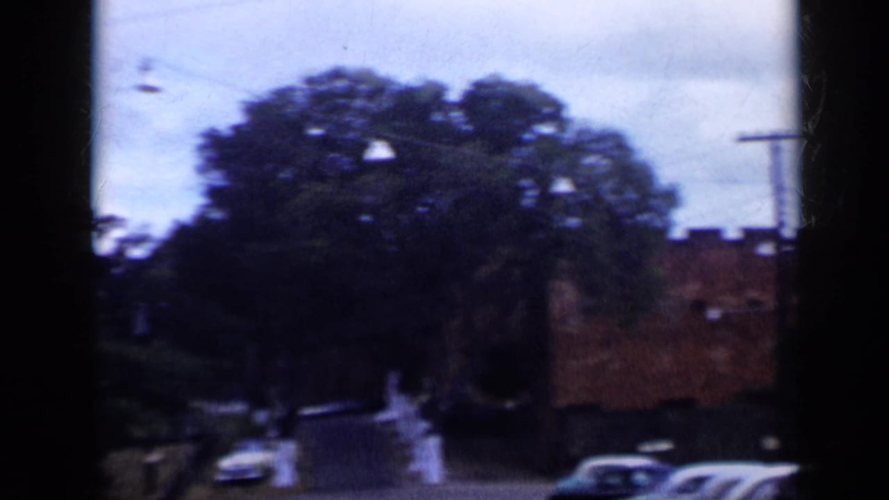 Handheld 8mm frame from Venezuela in 1959 showing a blurred street edge with trees, parked cars, low buildings, and utility poles.