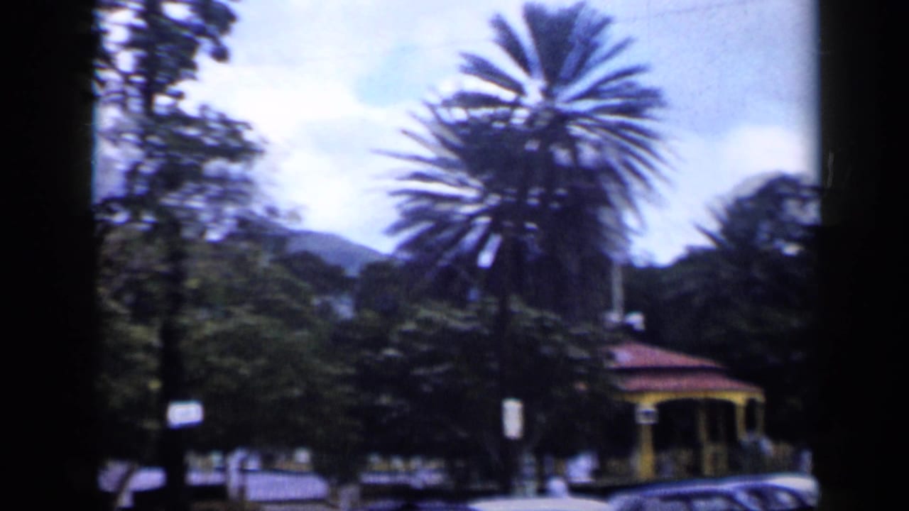 1959 Venezuela frame showing tall palms, parked cars, a small street-side building, signs, greenery, and distant hills in soft 8mm color.
