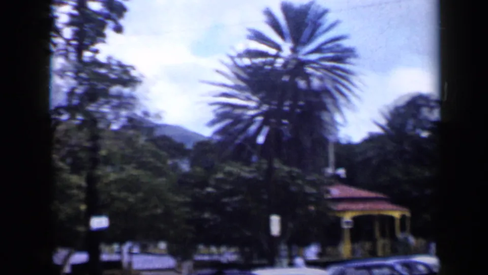 1959 Venezuela frame showing tall palms, parked cars, a small street-side building, signs, greenery, and distant hills in soft 8mm color.