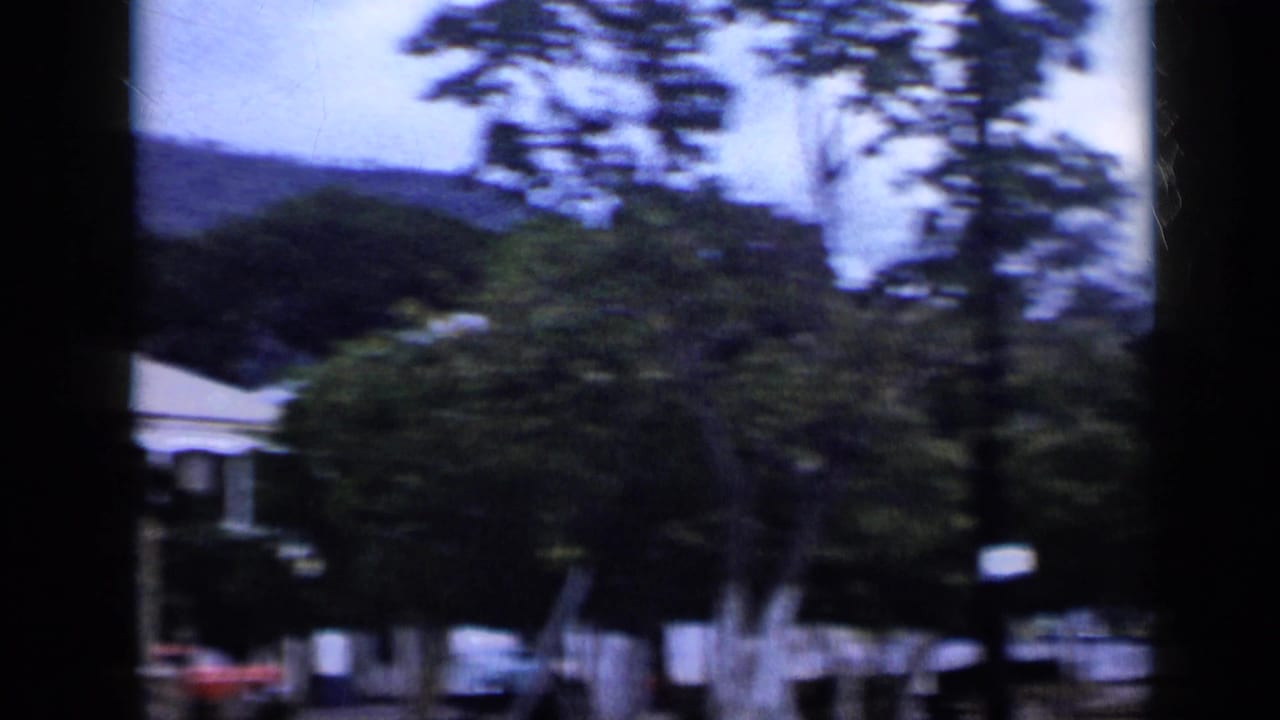 1959 Venezuela 8mm frame showing leafy trees, pale buildings, and distant hills from a dark-edged vantage point.