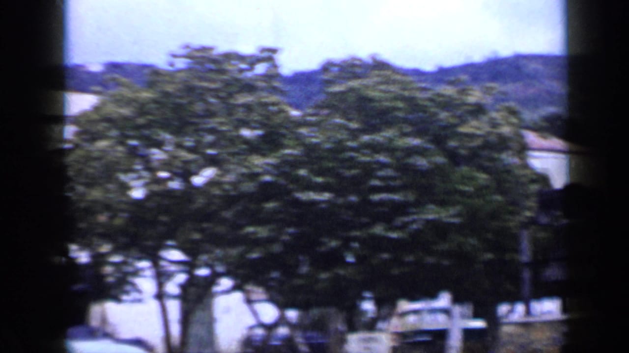 1959 Venezuela home-movie view of dense green trees, pale building facades, and a low hillside beyond.