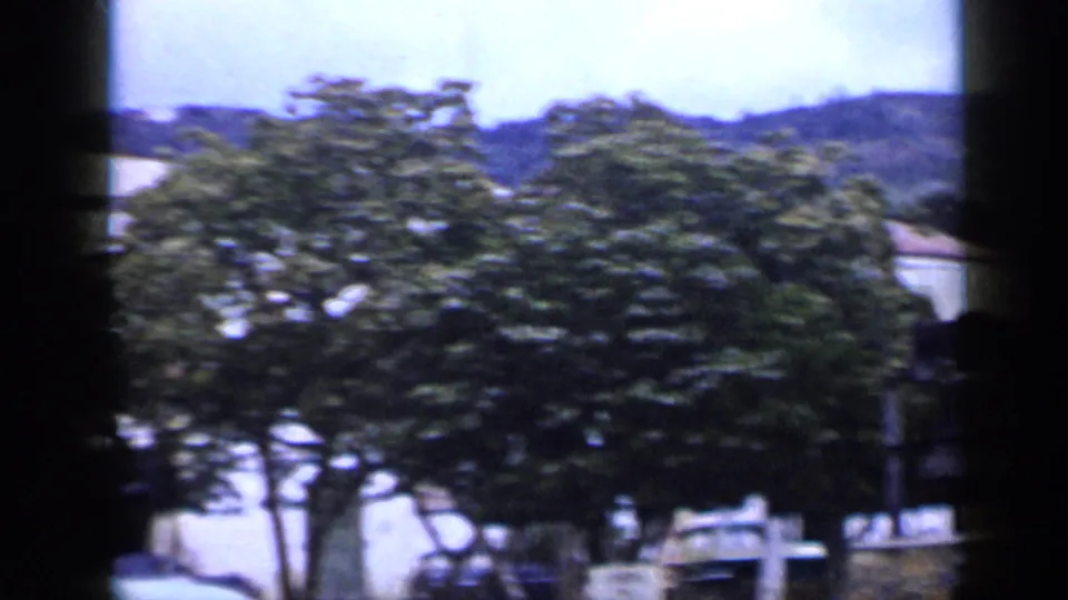 1959 Venezuela home-movie view of dense green trees, pale building facades, and a low hillside beyond.
