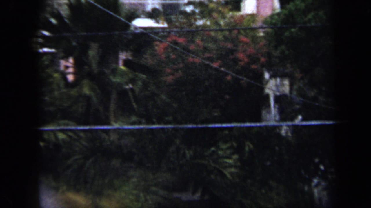 1959 Venezuela travel footage frame showing dense tropical planting, overhead utility lines, and partial building facades.