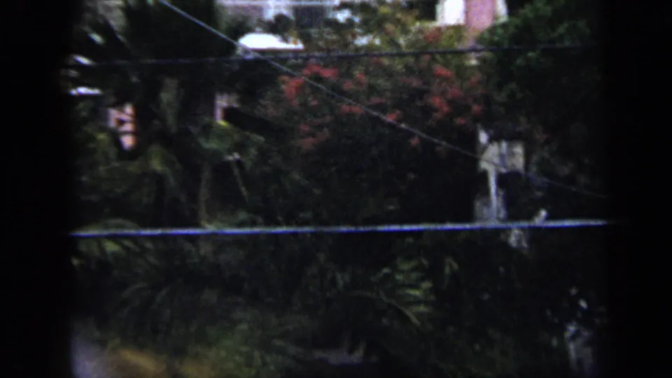 1959 Venezuela travel footage frame showing dense tropical planting, overhead utility lines, and partial building facades.