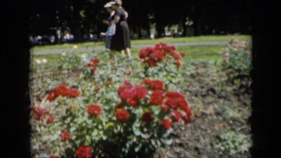 1961 Missouri 8mm frame showing red roses in the foreground and adults in hats strolling near a lawn and trees.