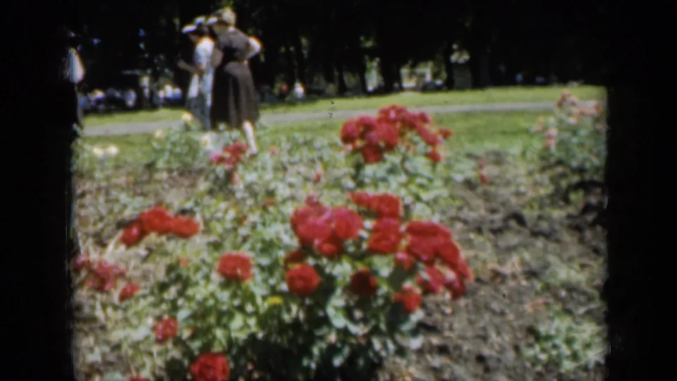 1961 Missouri garden view with red roses, sunlit grass, trees, and adults in period clothing near the path.