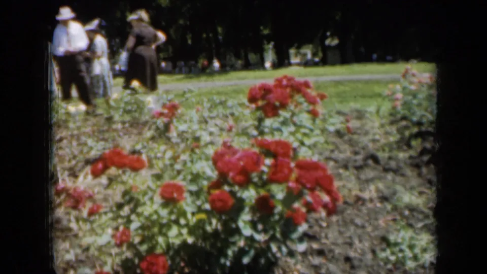 1961 Missouri 8mm frame with rose bushes in the foreground and several adults gathered near the lawn beyond.