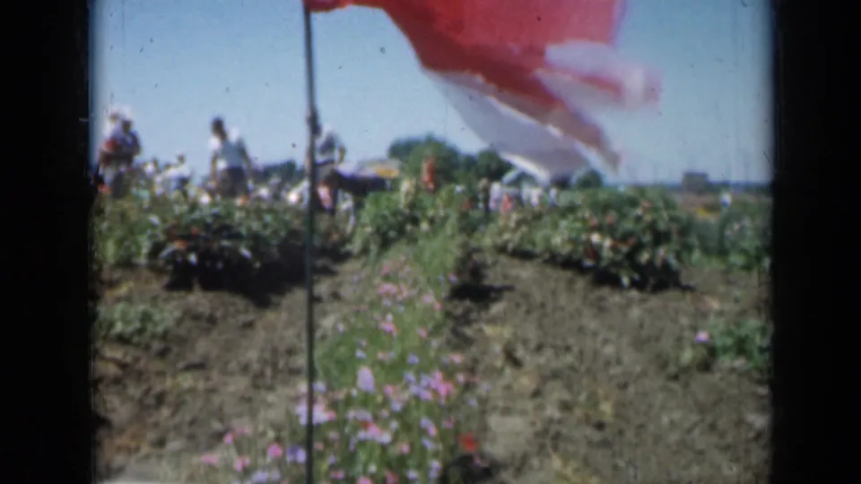 1961 Missouri home-movie frame with flower beds, a pole, visitors, and the edge of a windblown flag.